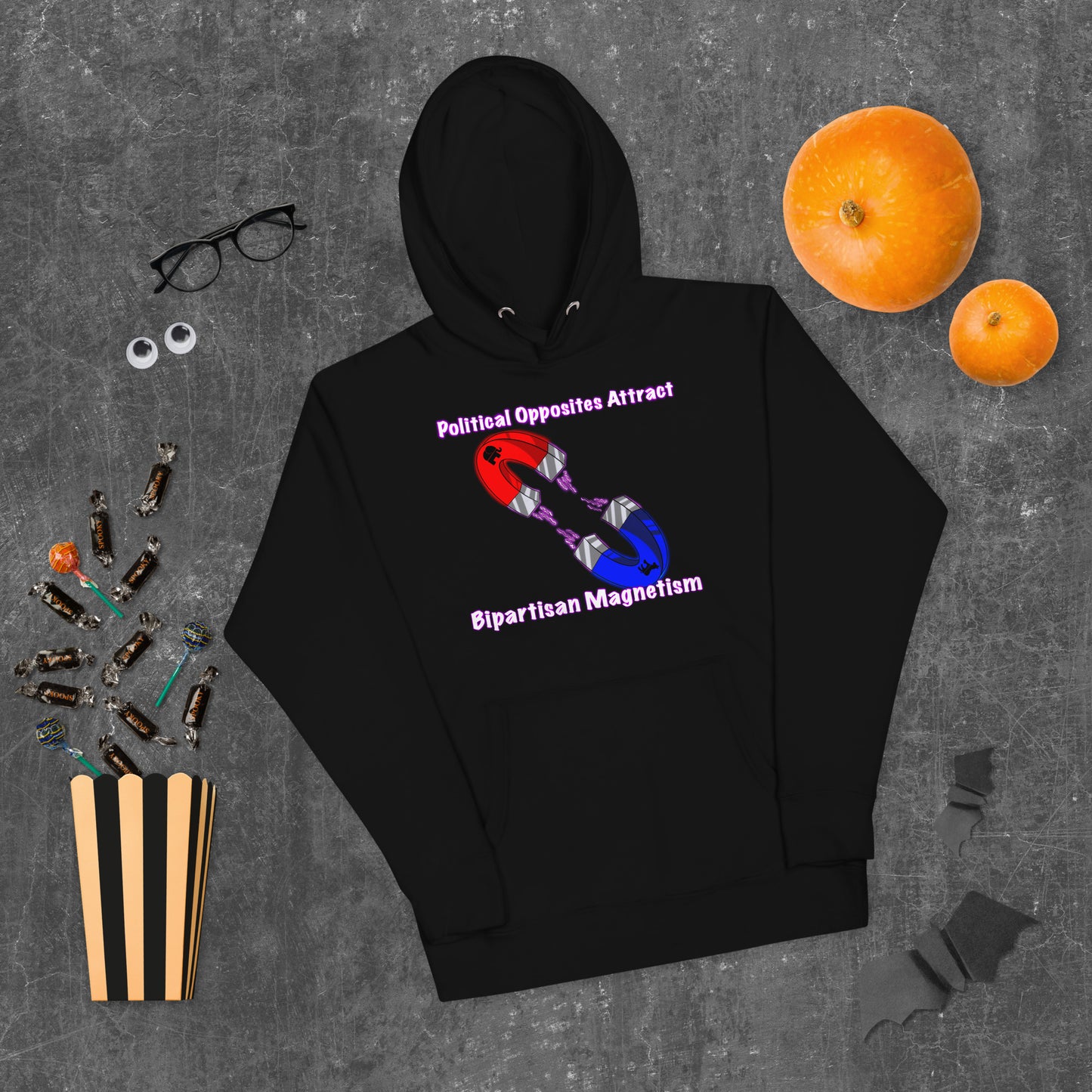 Bipartisan Magnetism Unisex Hoodie