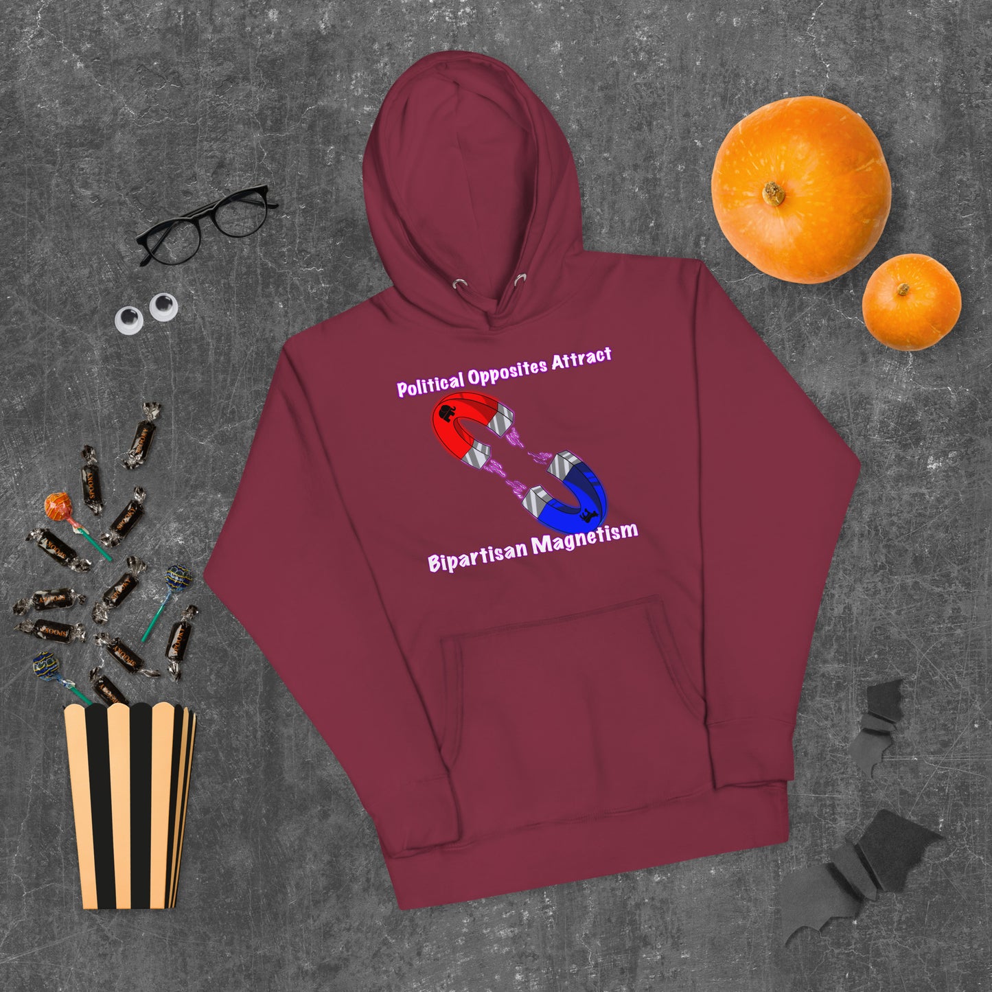 Bipartisan Magnetism Unisex Hoodie
