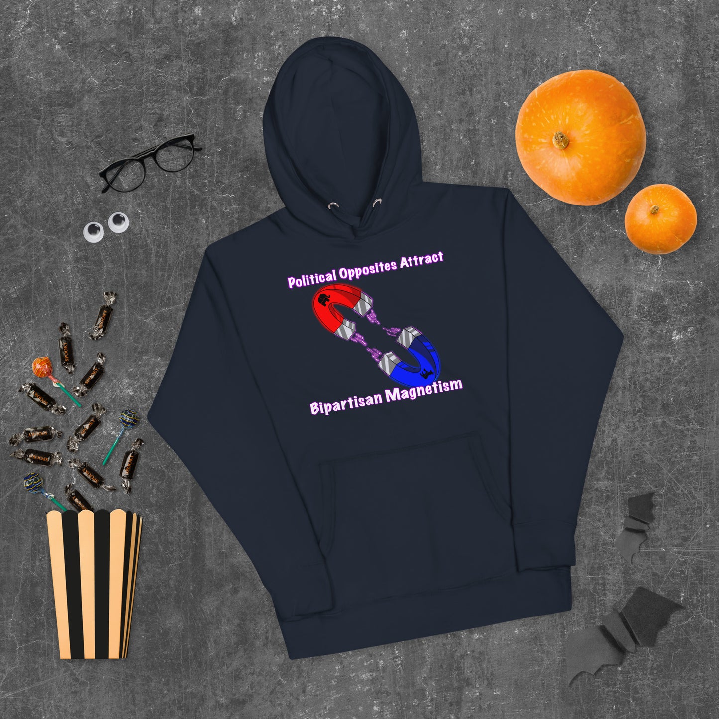 Bipartisan Magnetism Unisex Hoodie