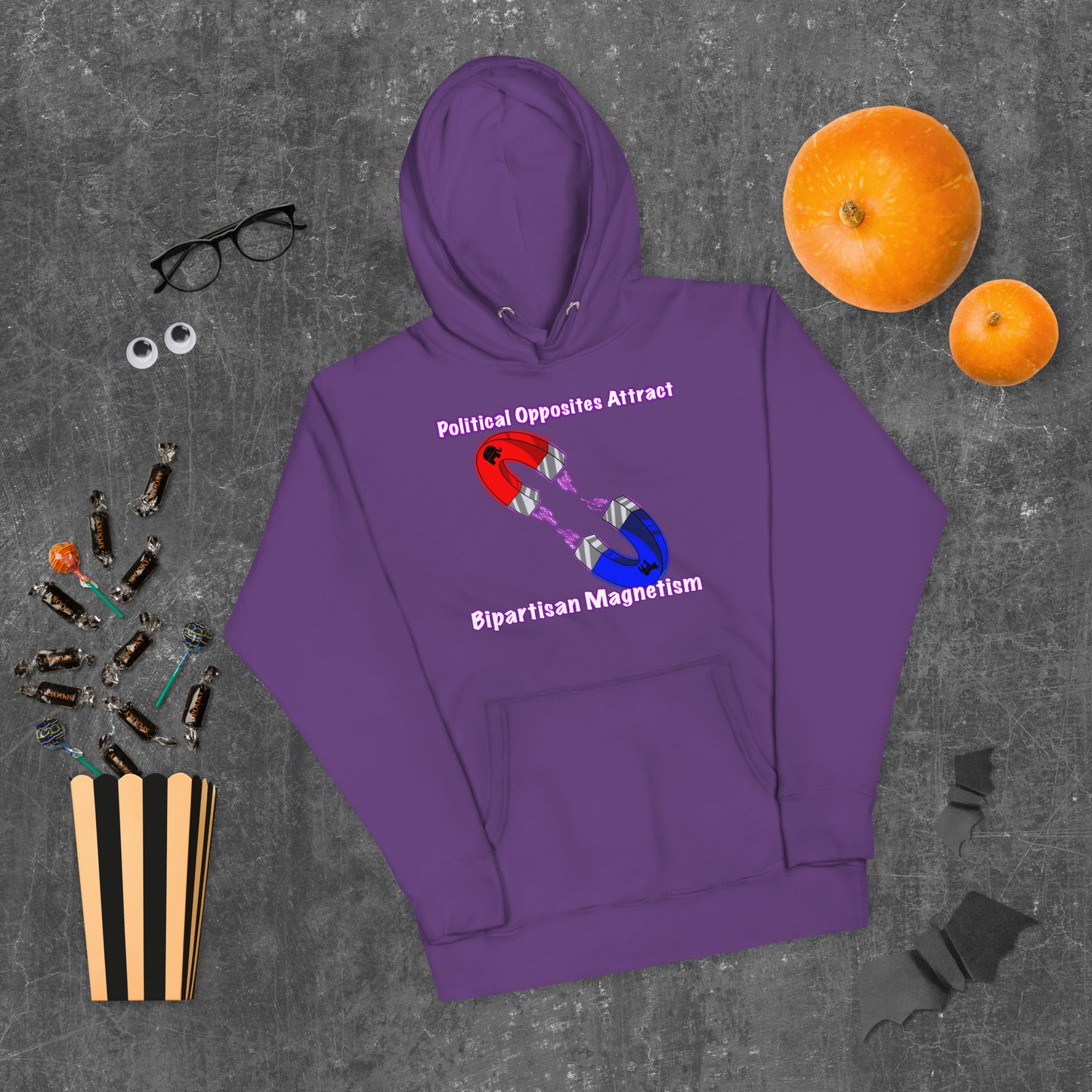 Bipartisan Magnetism Unisex Hoodie