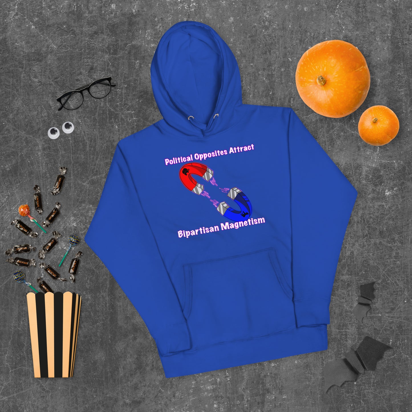 Bipartisan Magnetism Unisex Hoodie